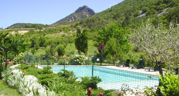 The Pool