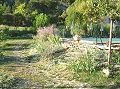 Le jardin